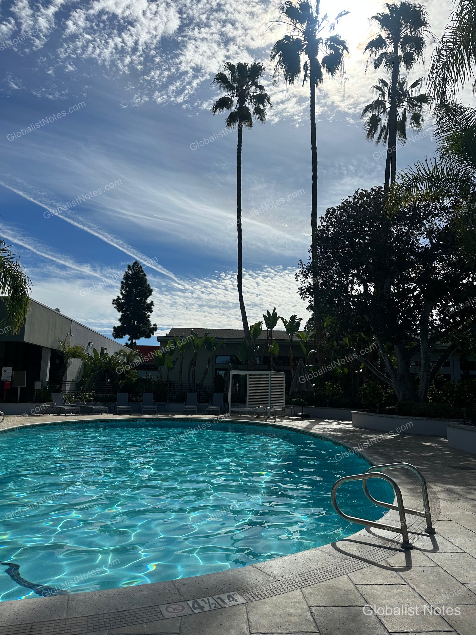 Hyatt Regency Newport Beach West 的戶外泳池。藍天之下，高聳的棕櫚樹環繞泳池，池邊設有金屬梯與躺椅。