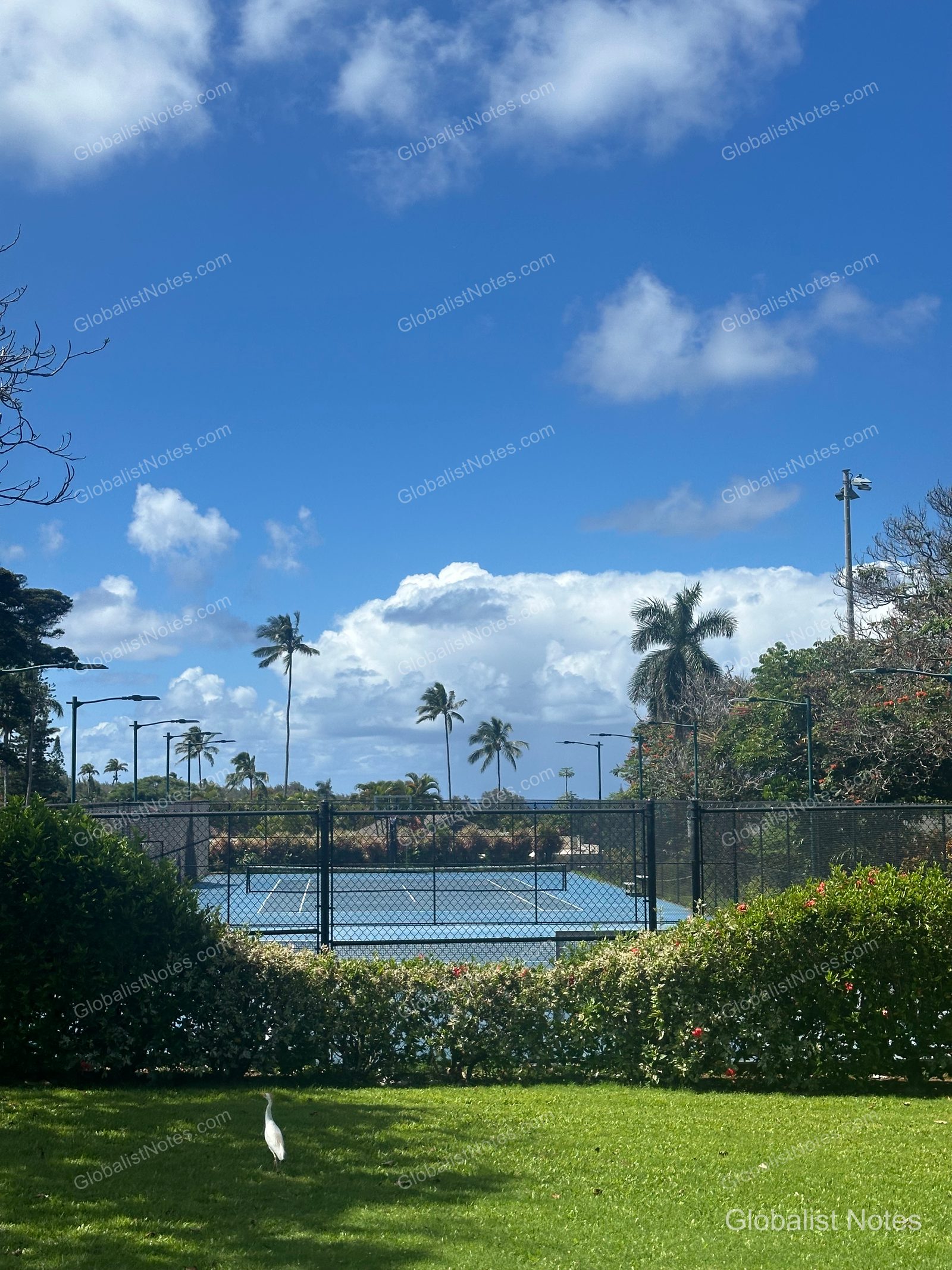 Outdoor tennis court at Hana-Maui Resort. The well-maintained court is set under a blue sky surrounded by tropical trees, with a white bird standing on the lawn in the foreground.