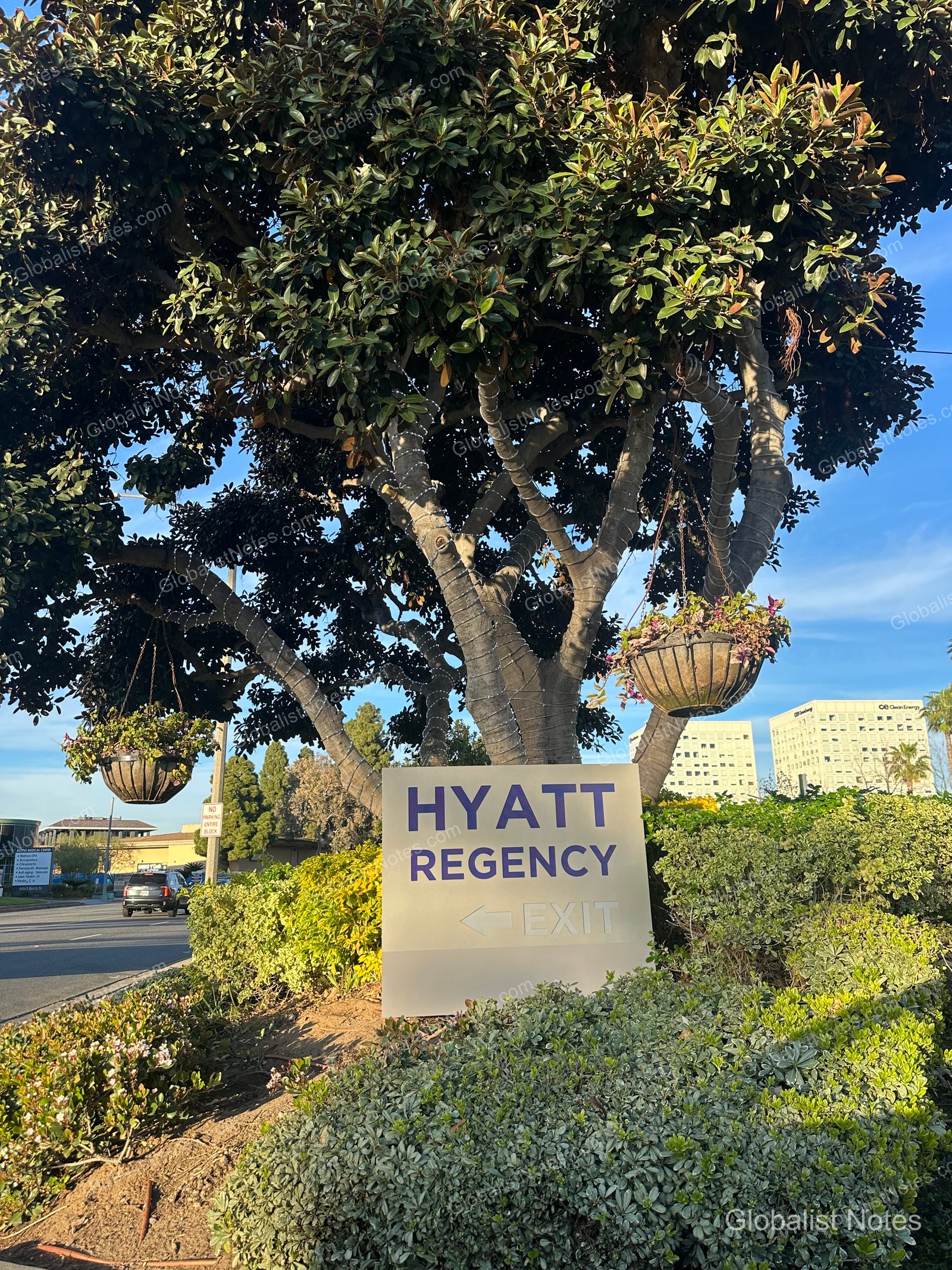 Hyatt Regency Newport Beach 園區內的出口指示牌。大樹下掛著花盆，後方可見道路、周邊建築與晴朗天空。