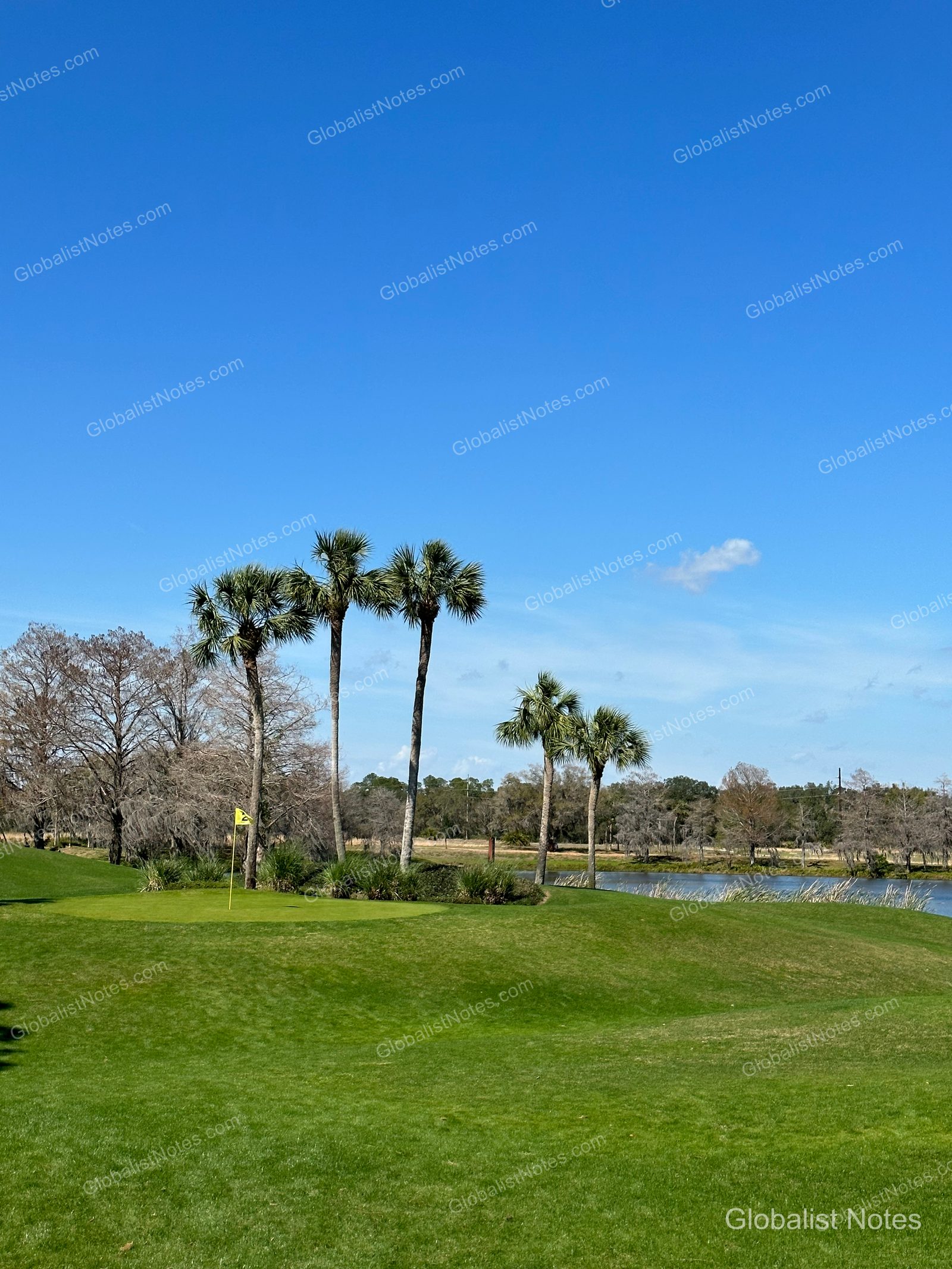 The golf course at Hyatt Regency Grand Cypress in Orlando, showing green grass, palm trees, and a small pond under a clear sky.