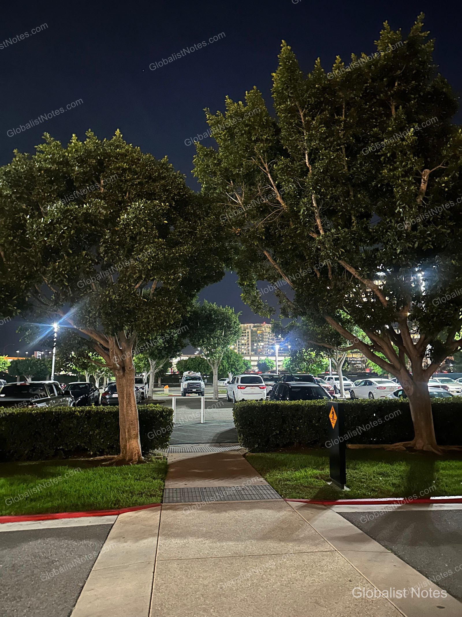 夜間的 Hyatt Regency Irvine 戶外停車場，人行道兩側種植高大樹木，後方可見停放車輛與遠處亮燈的建築。