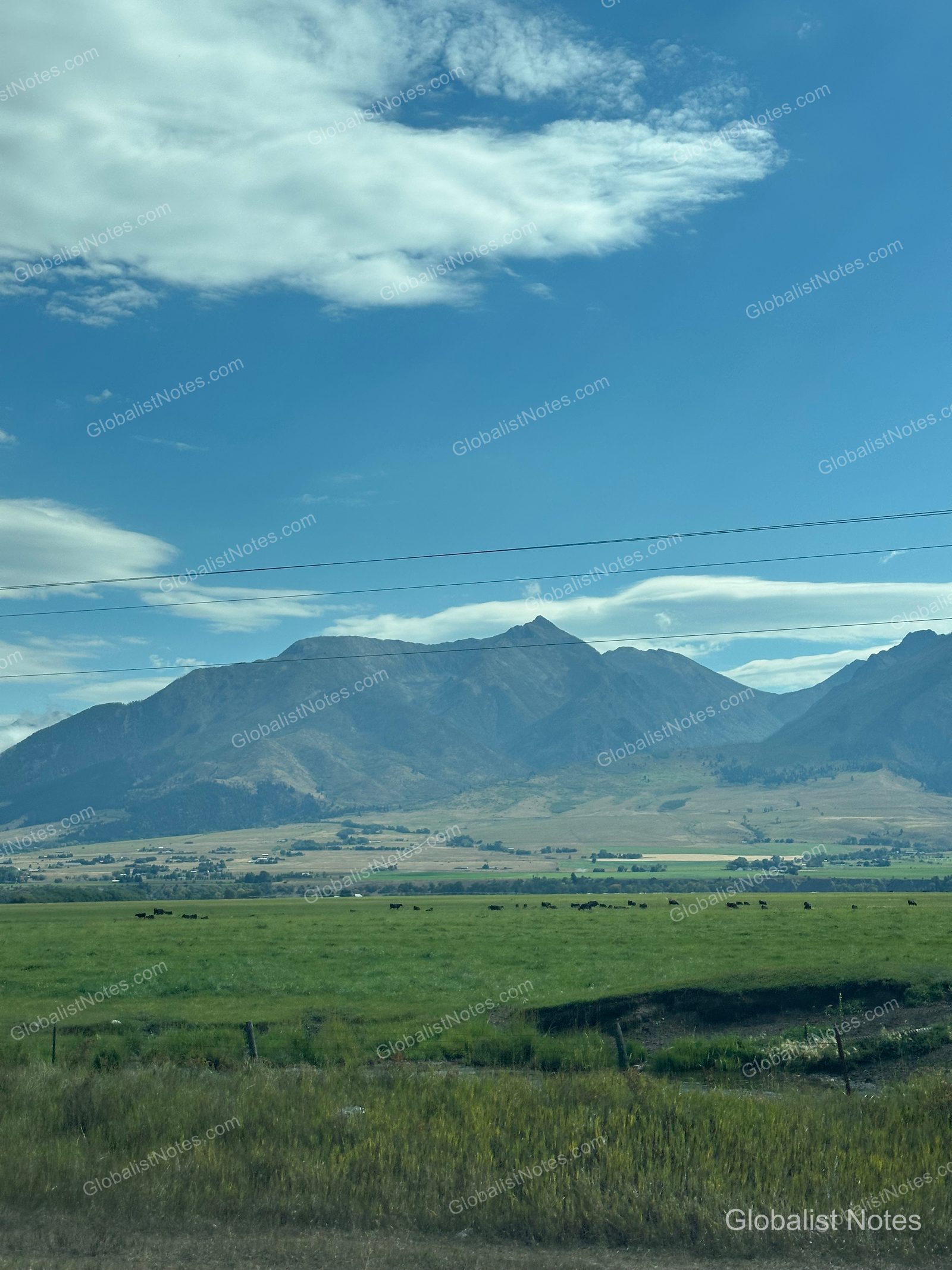 Under Canvas North Yellowstone - Paradise Valleyへ向かう道中の風景。広大な草原の背後に山脈がそびえ、牛が草を食んでいる。