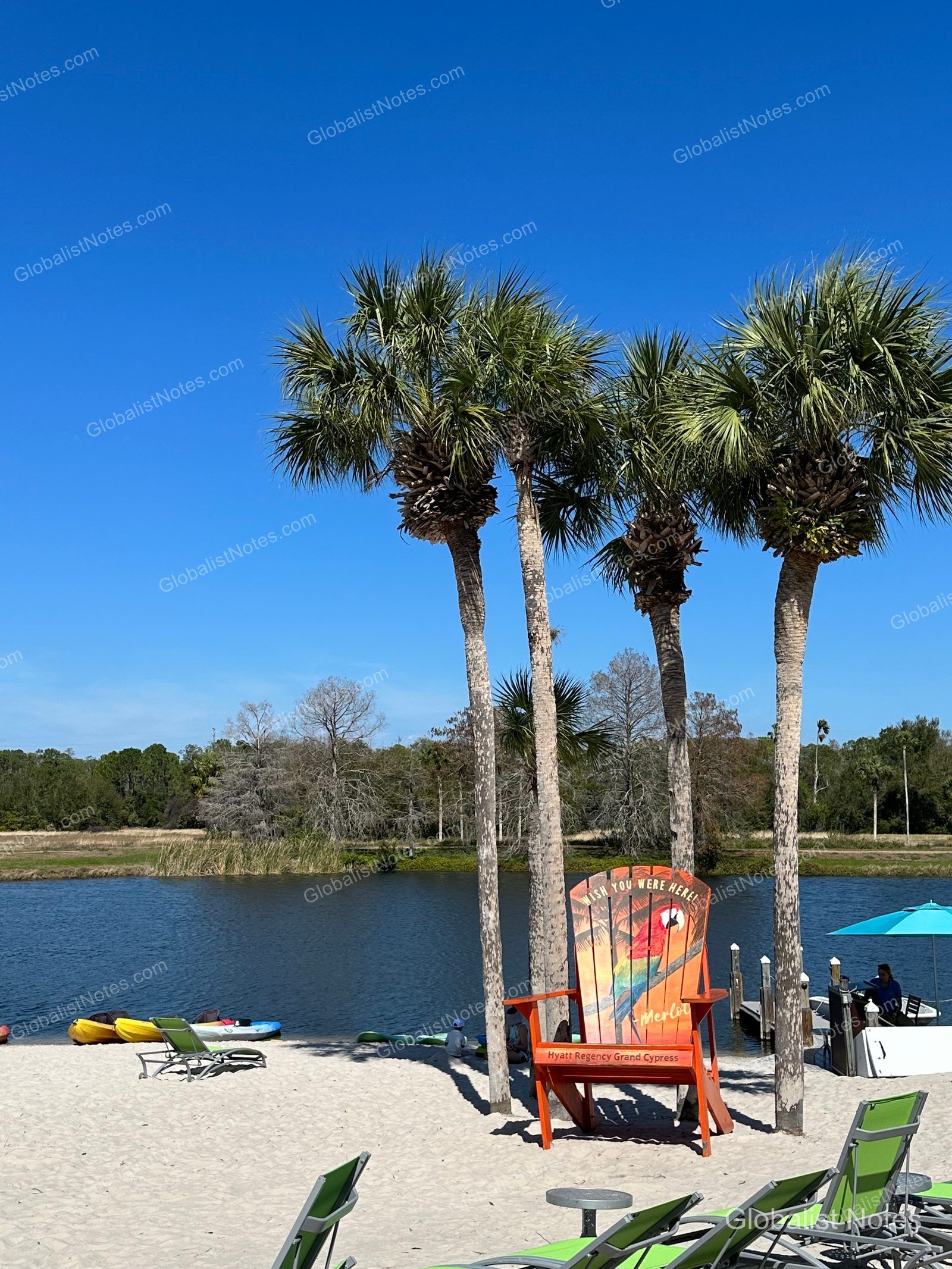 Lakeside sandy beach at Hyatt Regency Grand Cypress, featuring a large orange chair with a parrot illustration under tall palm trees, with kayaks and small boats docked on the lake under a clear sky.