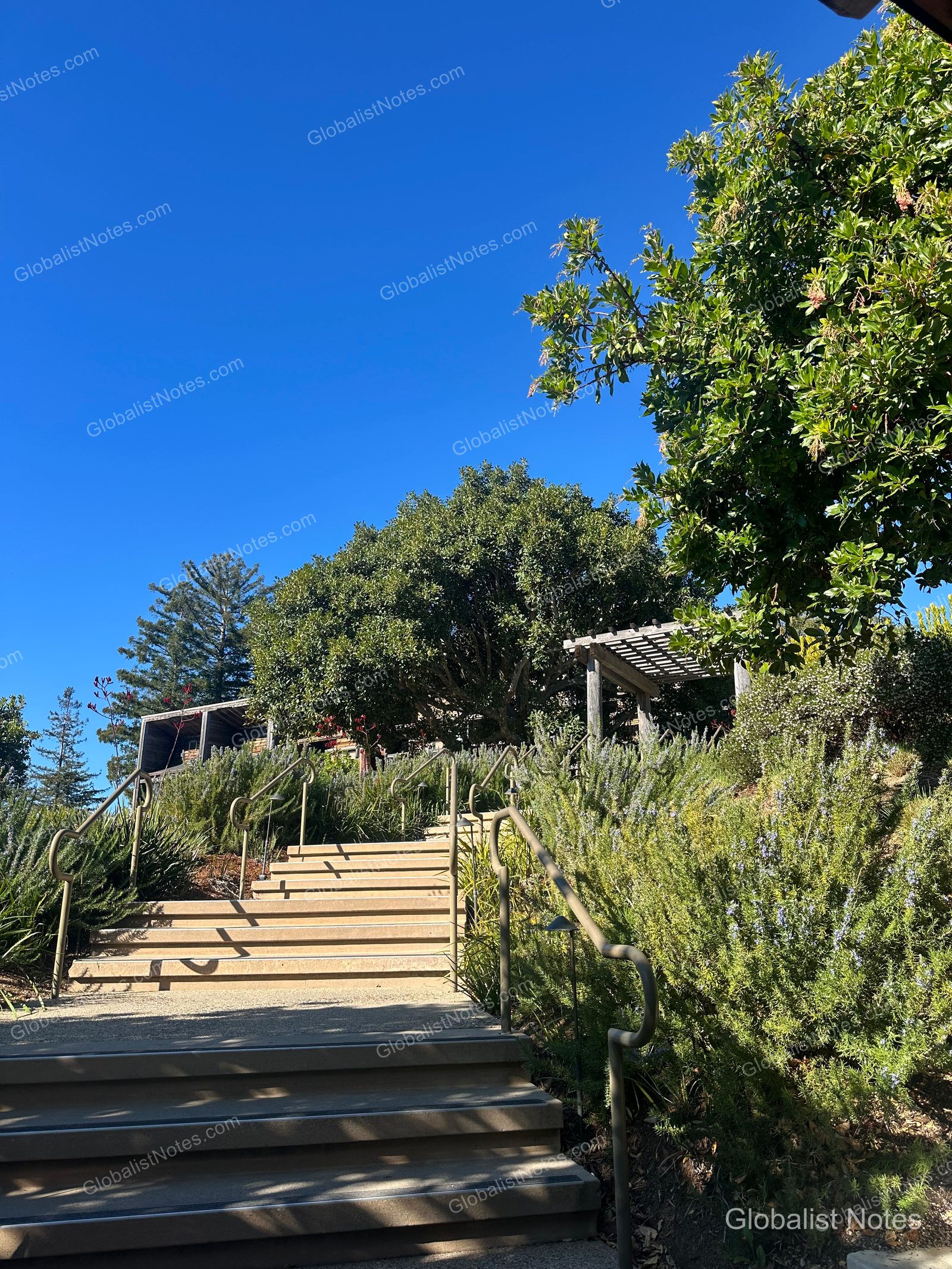 Outdoor stairs at Alila Ventana Big Sur under a clear blue sky, surrounded by lush trees and shrubs, with metal railings and a wooden pergola structure above.