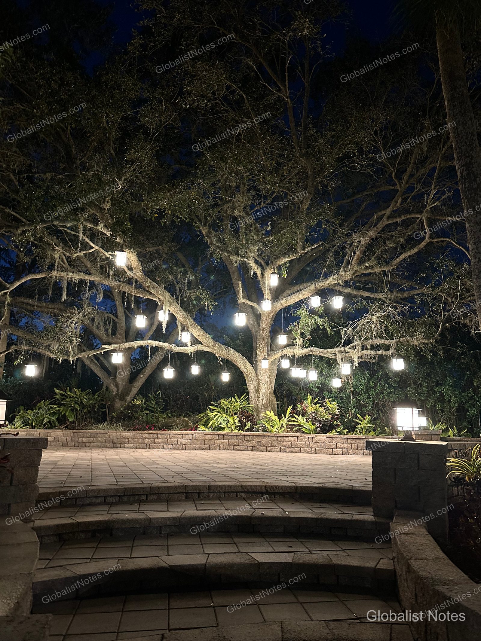 The outdoor garden at Hyatt Regency Grand Cypress in Orlando at night, featuring stone steps and a plaza under a large tree with square lanterns hanging from the branches.