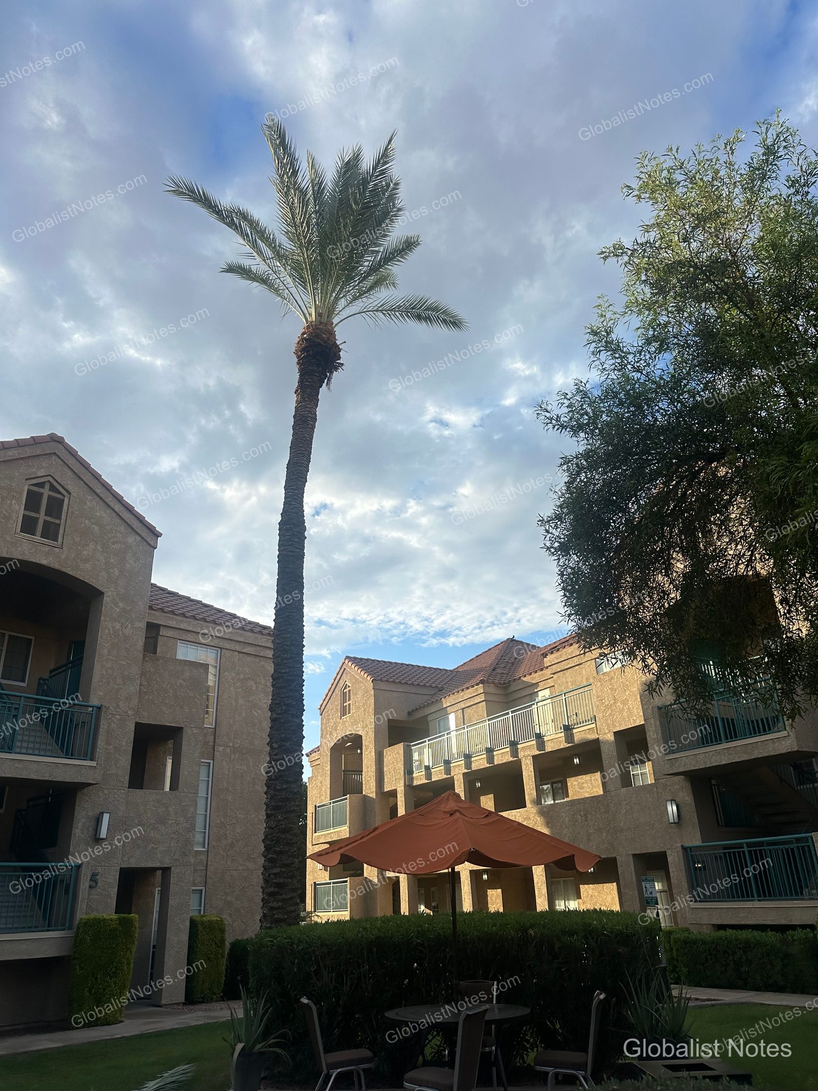 Hyatt House Scottsdale/Old Townの外観。薄曇りの空を背景に、背の高いヤシの木と茶色の外壁が印象的です。建物前のパティオにはオレンジ色のパラソルが配され、屋外でくつろげるスペースが広がっています。