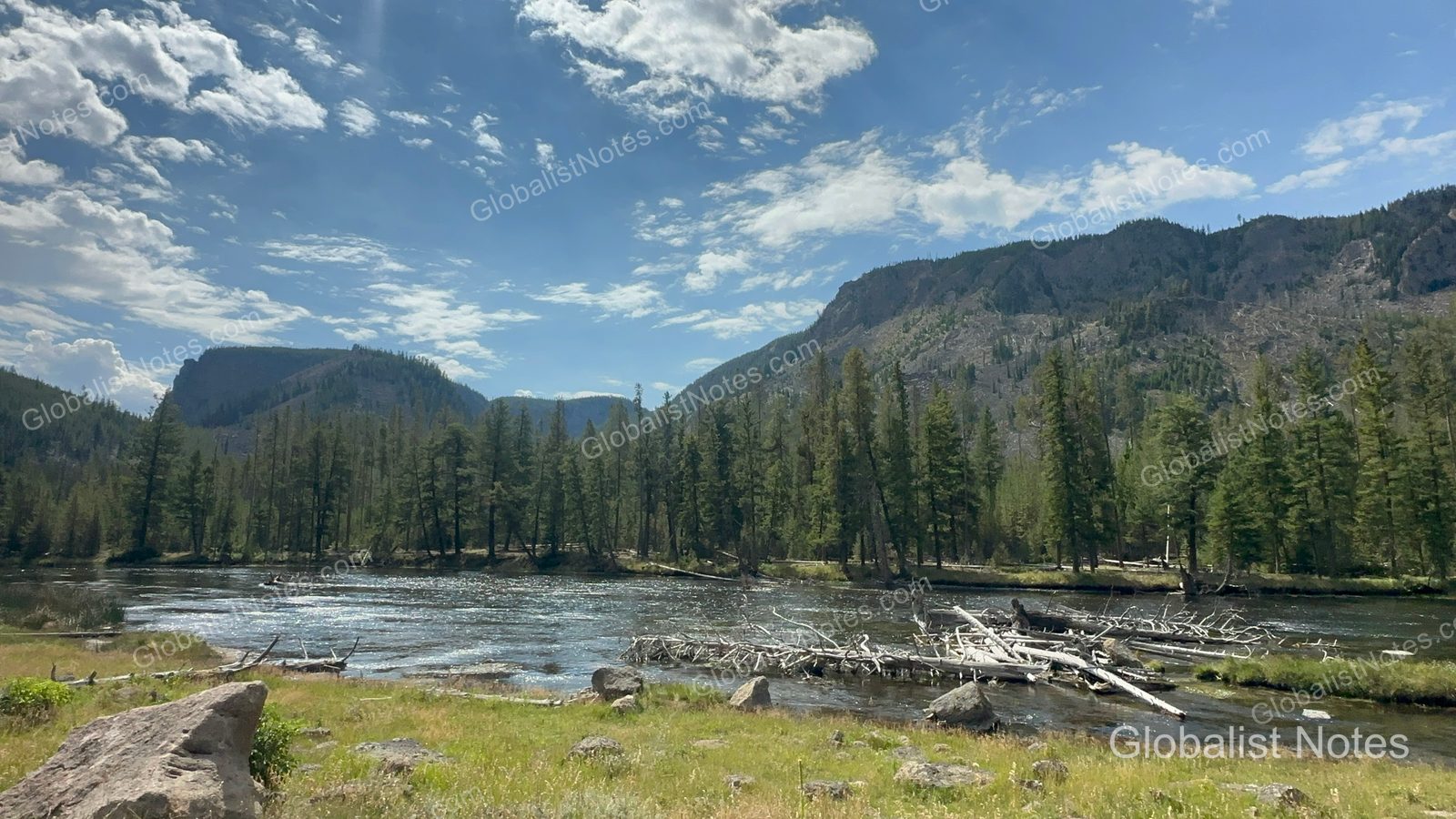 Hyatt Place Bozeman Yellowstone Airport周辺の自然風景。晴天の下、針葉樹林と岩の多い川が流れています。