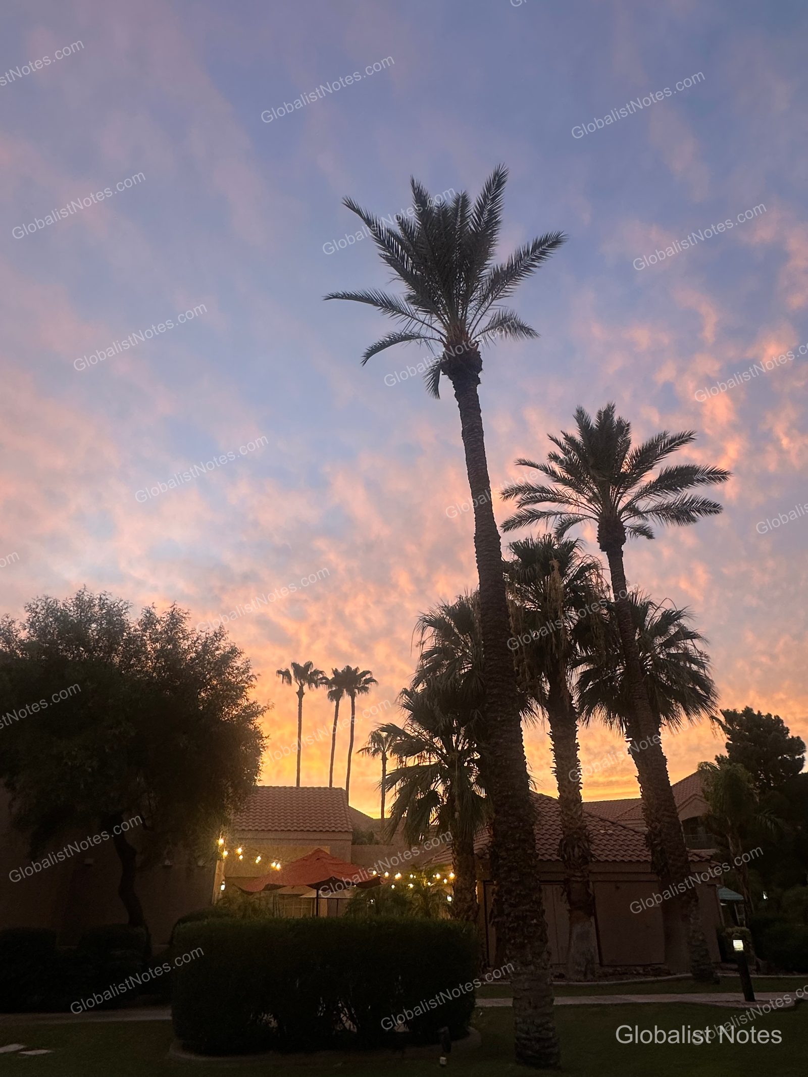 Hyatt House Scottsdale/Old Townの屋外エリア。夕暮れ時の空を背景に、ヤシの木とライトアップされたパラソルが並ぶ風景。