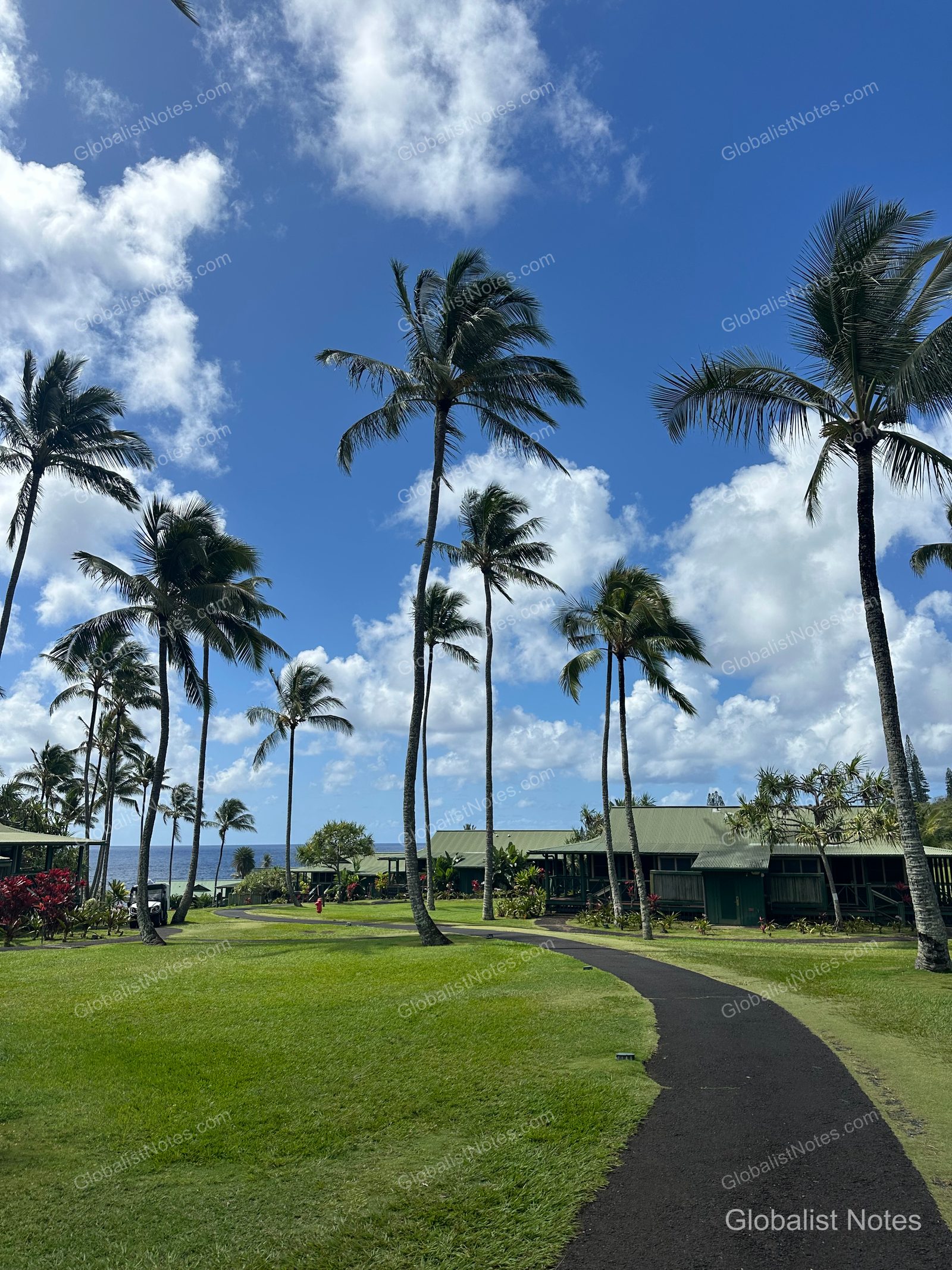 Tall palm trees line a wide lawn at Hana-Maui Resort in Hawaii, with a walking path leading toward a view of the blue ocean and clear sky.