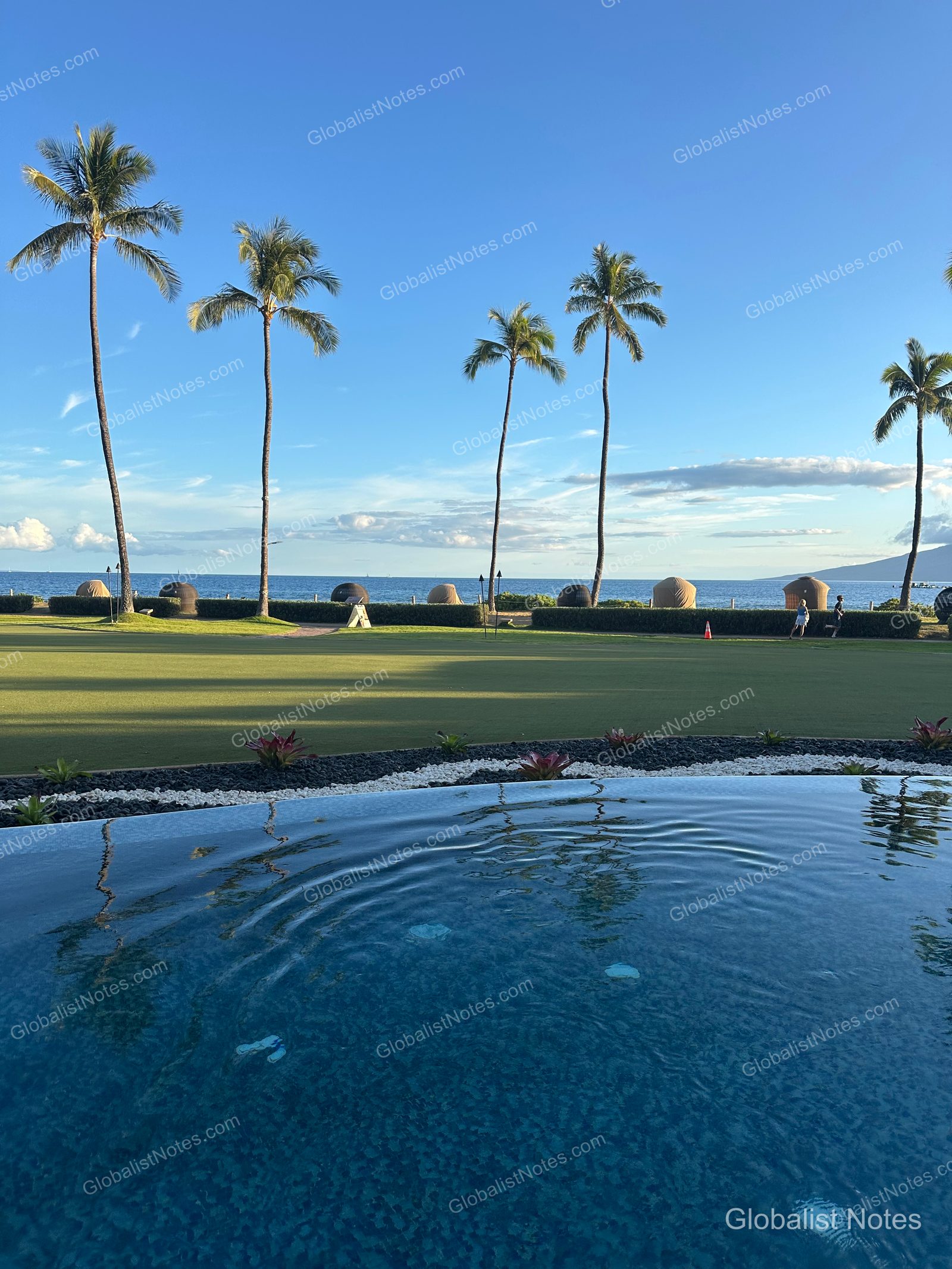 View from the outdoor pool at Hyatt Regency Maui Resort and Spa. The foreground shows the blue pool water, with a large lawn, rows of palm trees, and the ocean horizon in the distance.
