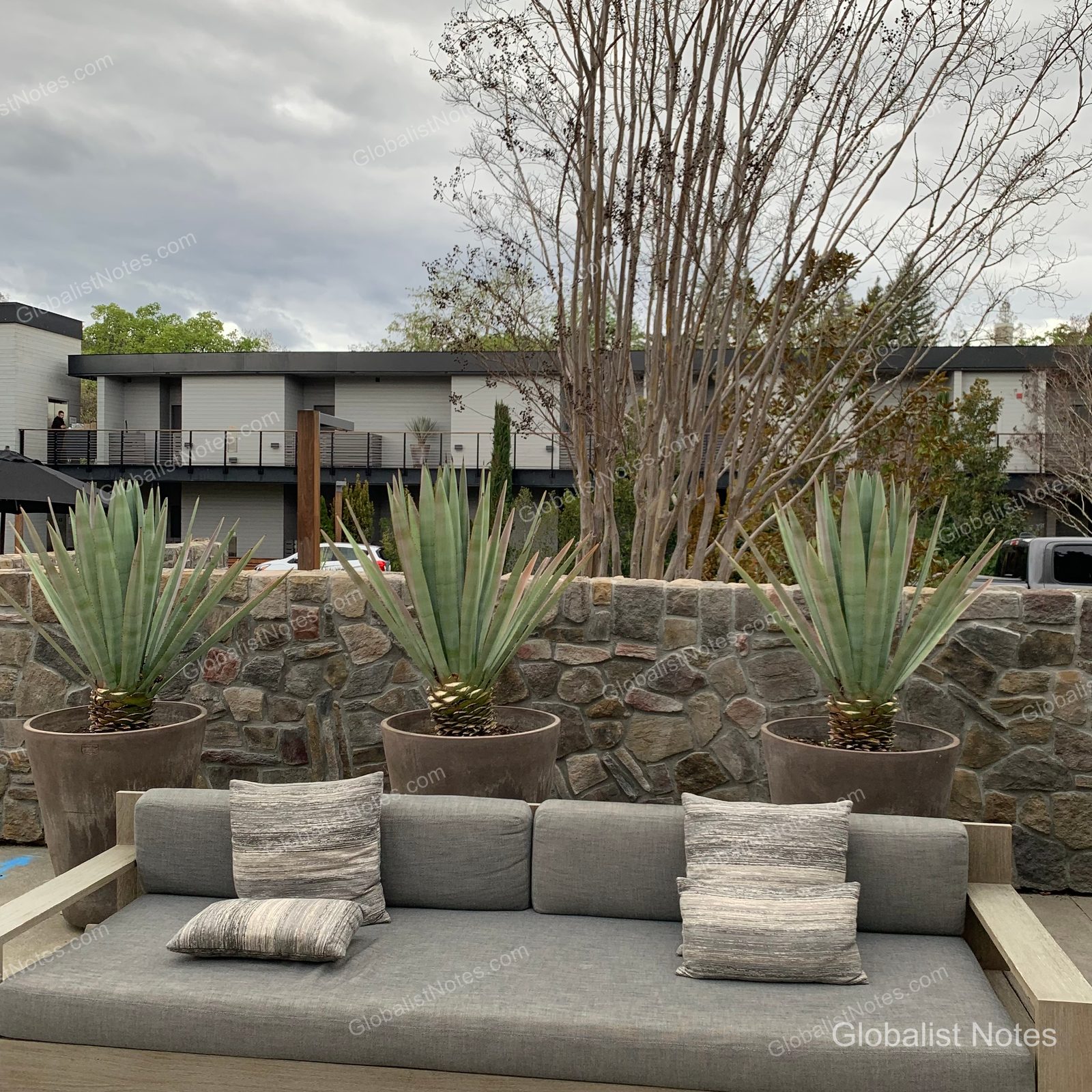 Outdoor terrace at Alila Napa Valley in St. Helena, USA. The modern hotel building is visible behind a low stone wall, with three agave plants in large planters and gray outdoor sofas in the foreground.