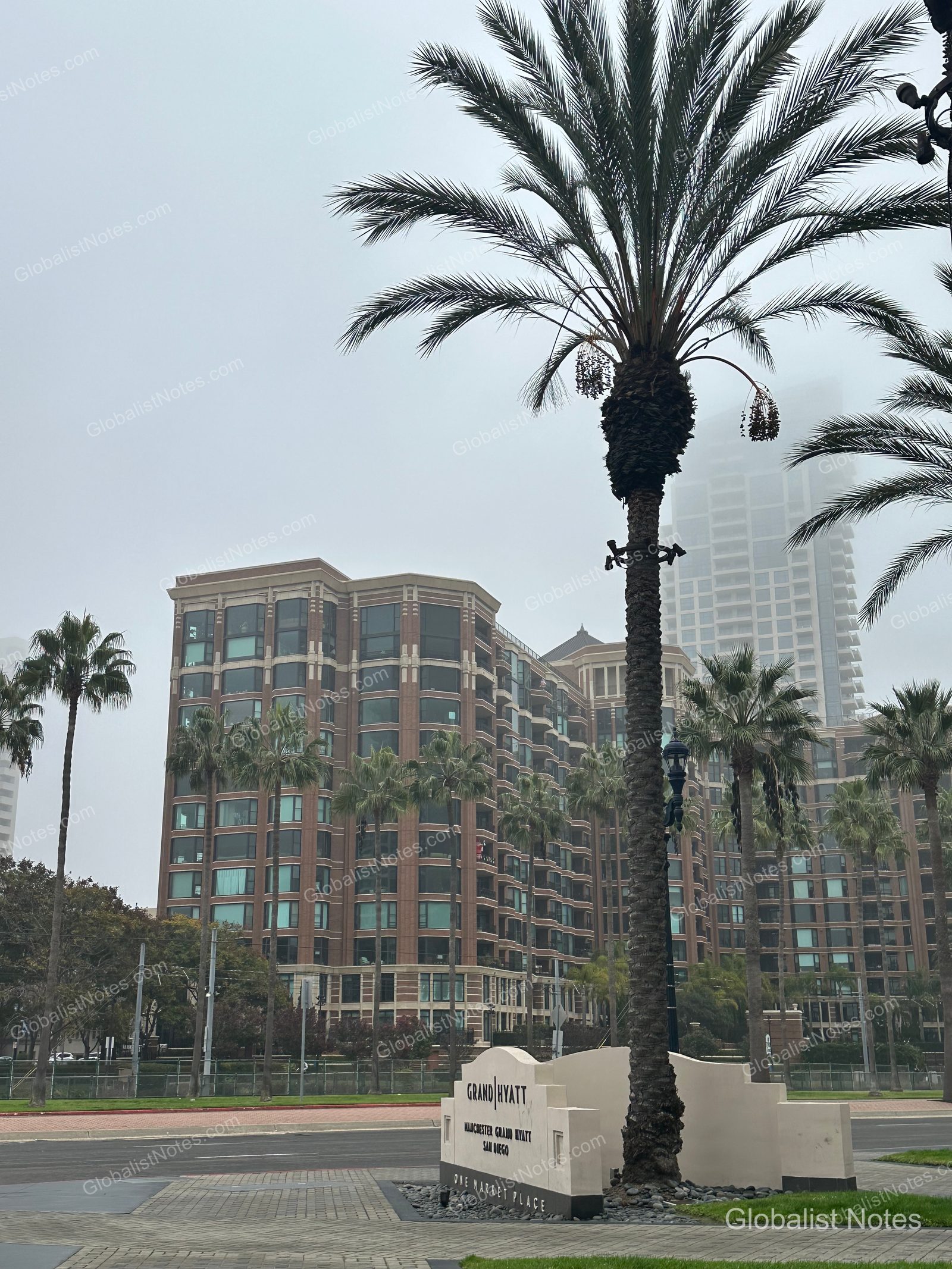 Manchester Grand Hyatt San Diego 外觀。陰天背景下，飯店入口標誌與棕櫚樹矗立前方，後方高樓籠罩在霧氣中。
