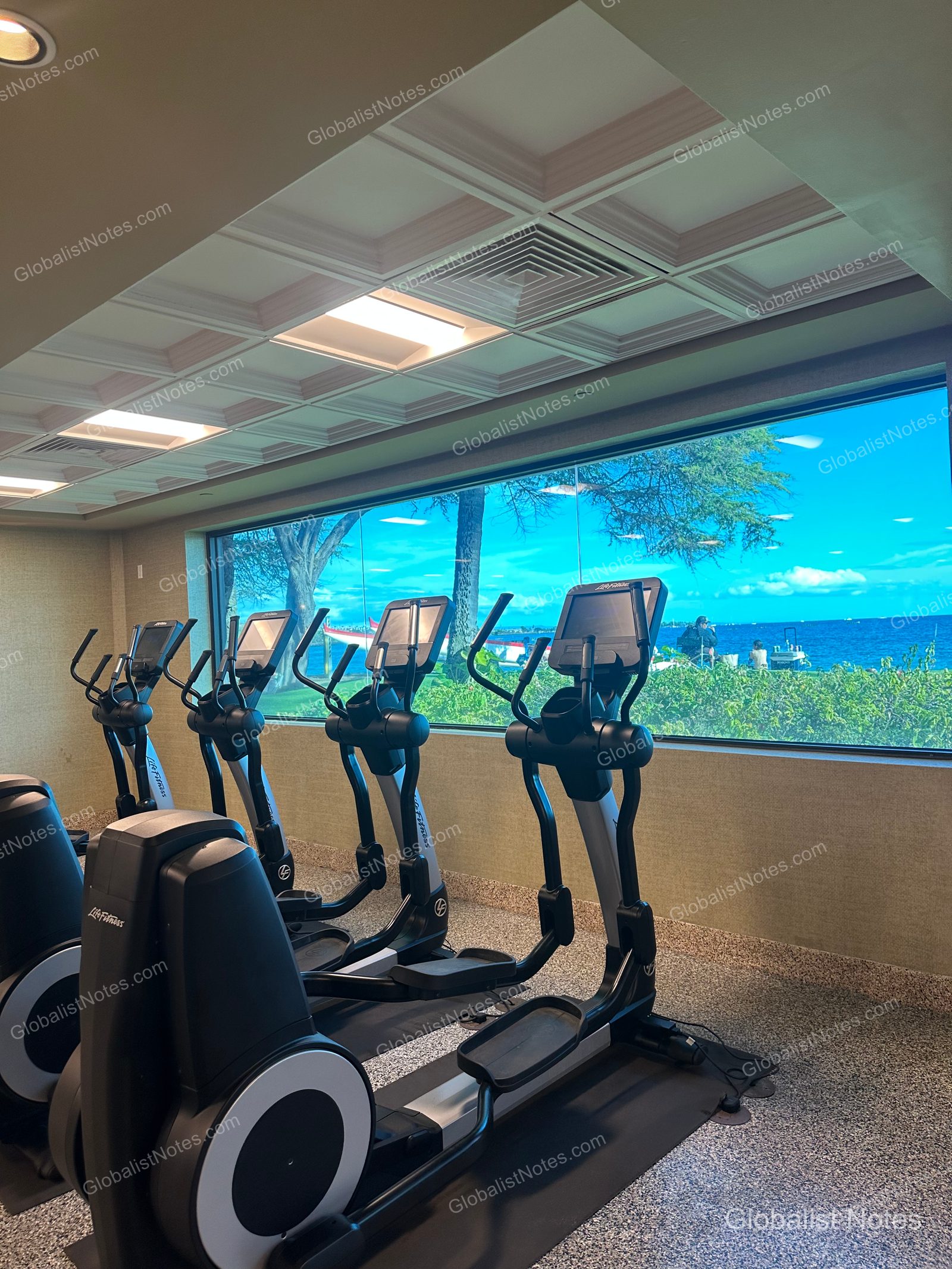 Inside the fitness center at Hyatt Regency Maui Resort and Spa. Several black Life Fitness elliptical machines are lined up, with views of the blue ocean and outdoor gardens visible through the floor-to-ceiling windows.