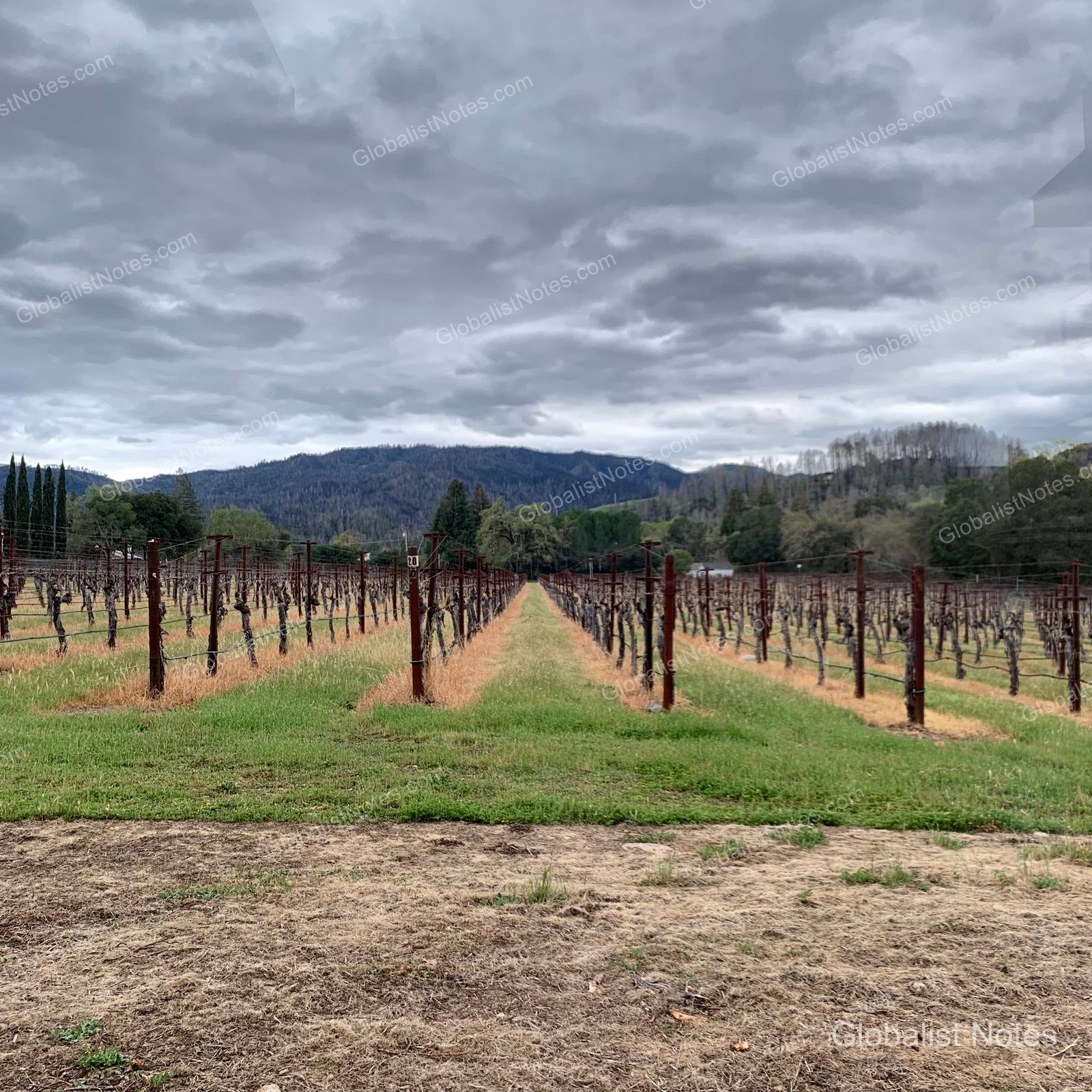 Vineyard view from the balcony of a guest room at Alila Napa Valley in St. Helena, USA. Rows of grapevines stretch across the landscape under a cloudy sky, with the low mountains of the Napa Valley in the background.