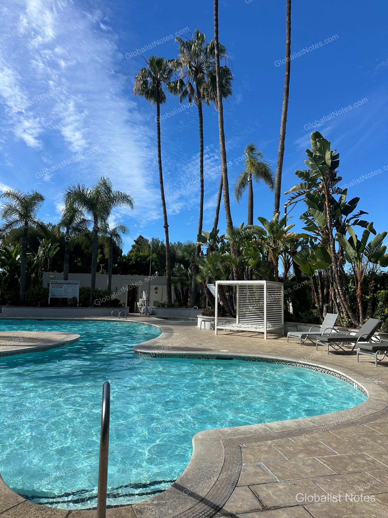 Newport Beach Hyatt Regency 戶外泳池全景，弧形泳池周圍環繞著高大棕櫚樹，設有白色涼亭與躺椅。在藍天映襯下，池水清澈，牆面掛有泳池安全須知。