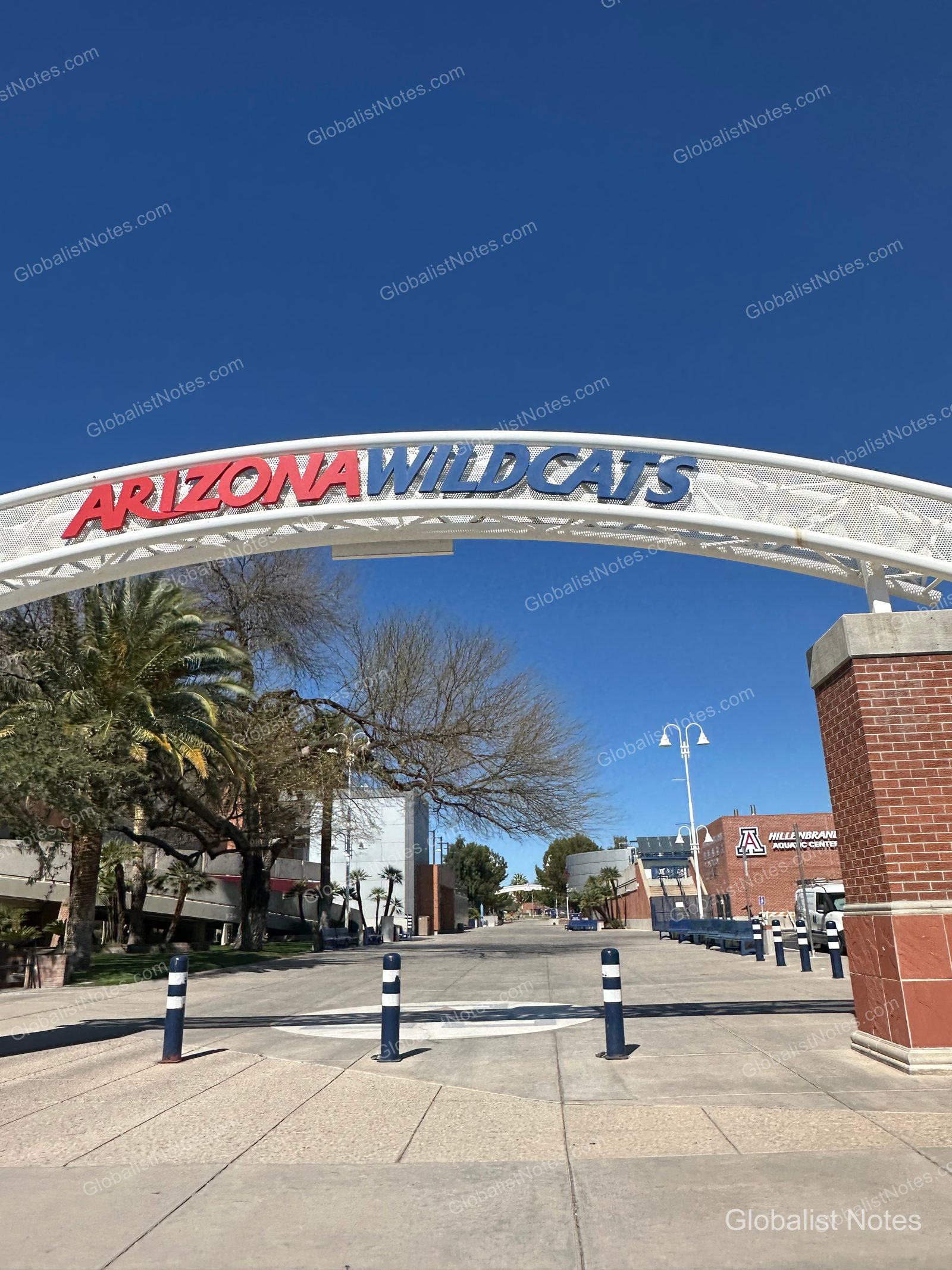 晴空下印有亞利桑那野貓隊（Arizona Wildcats）標誌的白色拱門，後方可見亞利桑那大學校園與棕櫚樹。
