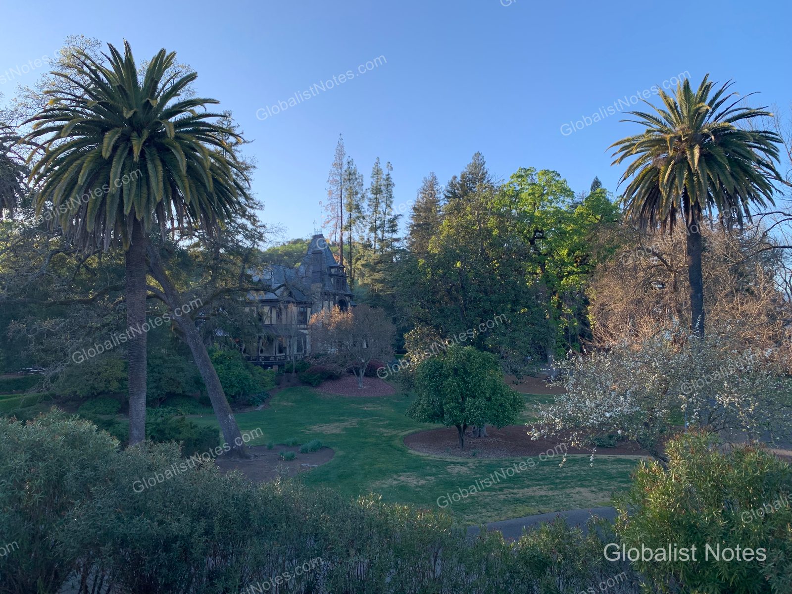 Garden view at Alila Napa Valley in St. Helena, USA. Two tall palm trees stand symmetrically on either side, framing a green lawn, lush trees, and historic-style architecture.