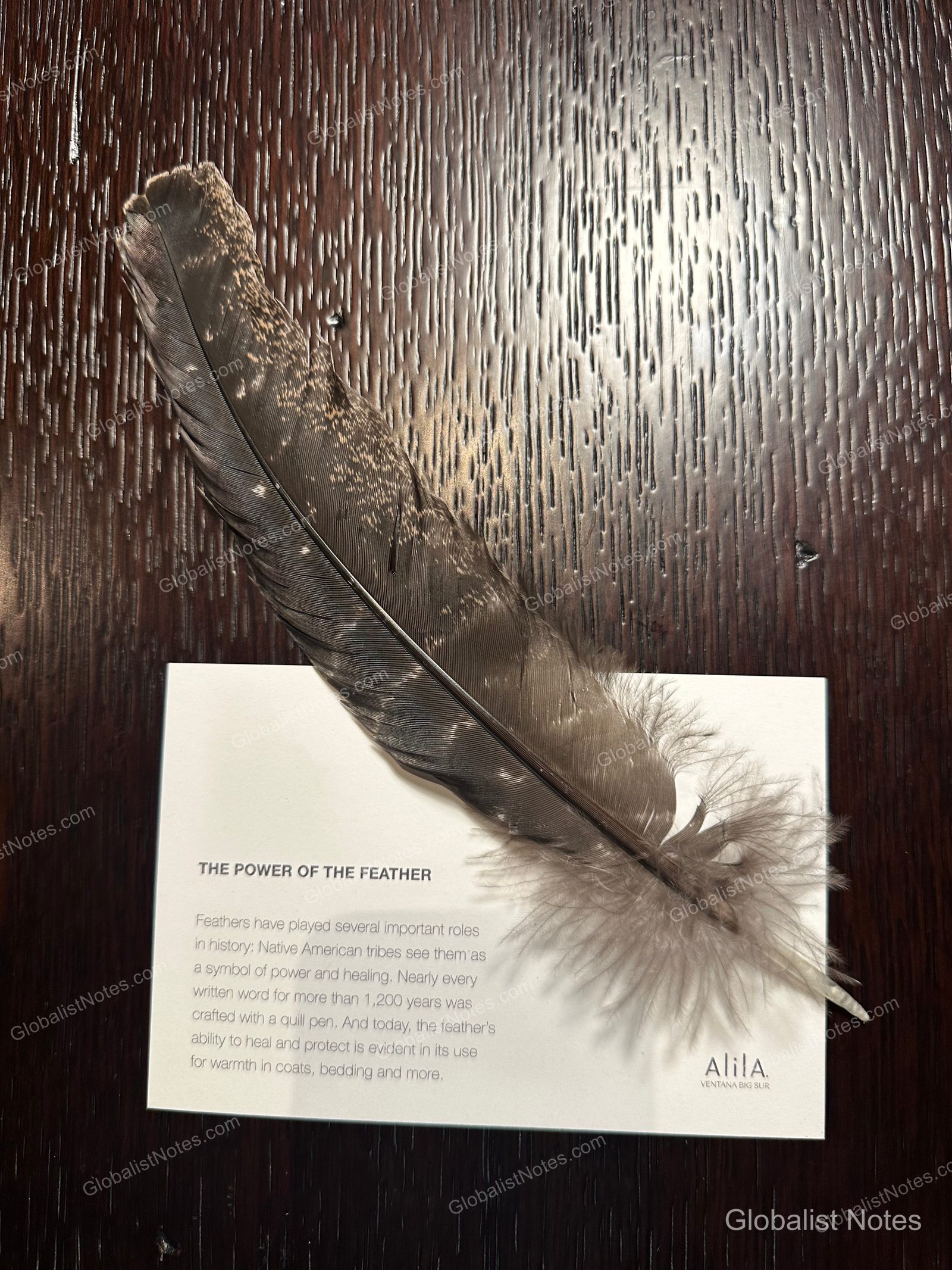 A single feather placed on a dark wooden table next to an Alila Ventana Big Sur information card titled 'THE POWER OF THE FEATHER,' which explains the historical significance of the feather.