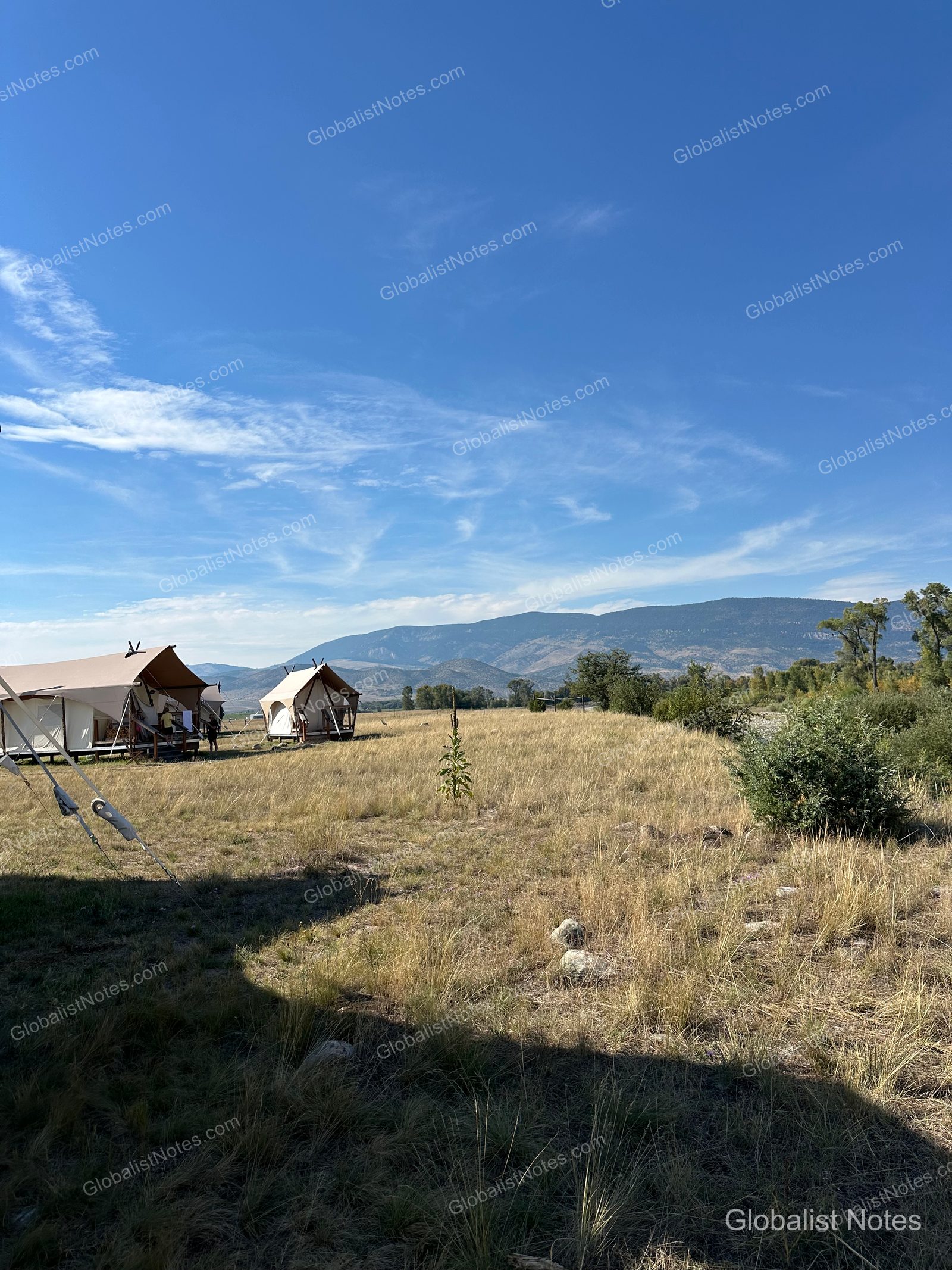 Under Canvas North Yellowstoneのテント宿泊施設。黄金色の草原にキャンバス地のテントが並び、背景には山脈が広がっています。